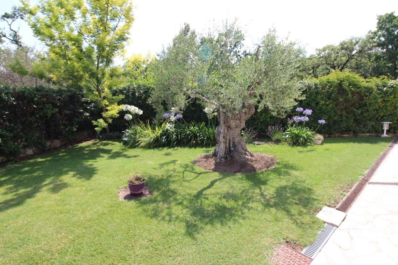 Villa Jalna Chambre, Suites Et Appartement Roquefort Les Pins Eksteriør billede